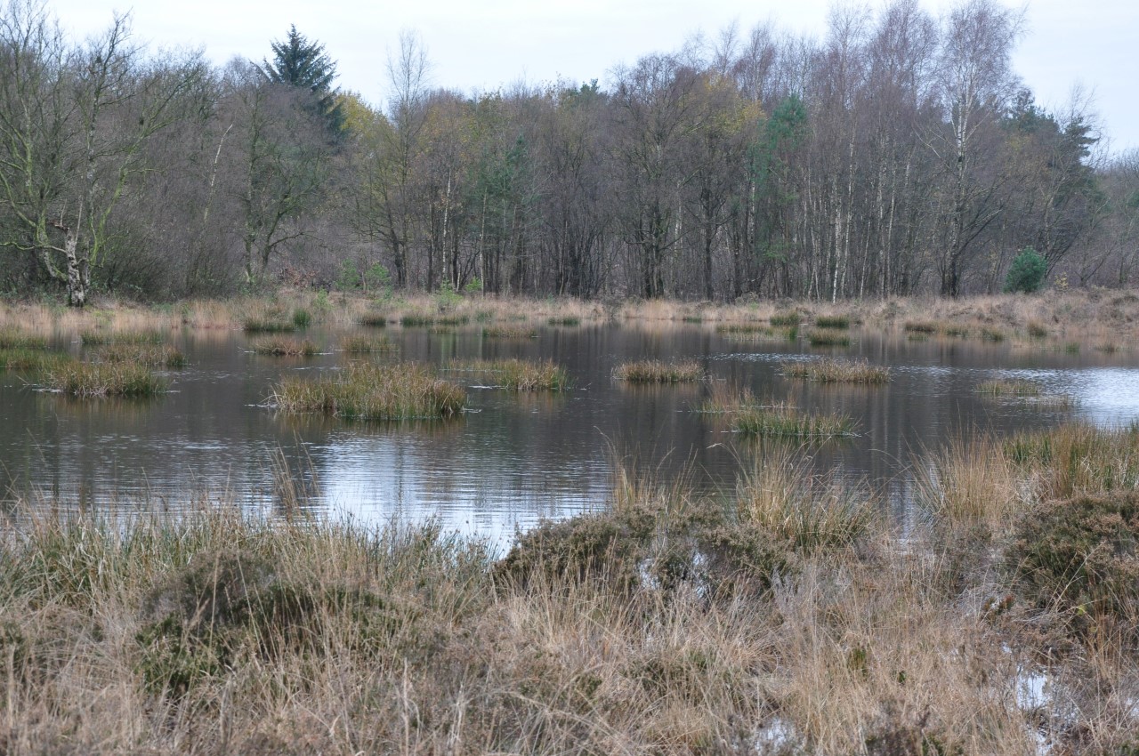 Wandeling Echten Drenthe Wandelvanuit