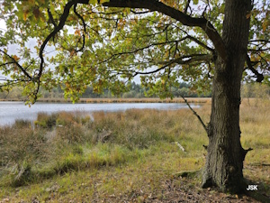 Erfgoedwandeling Drouwen