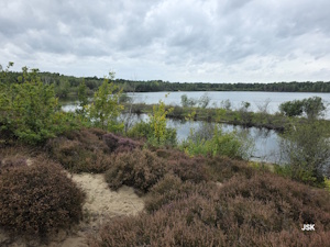 Wandelroutes Maasduinen Limburg