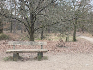 Wandelroute Bos en Heideroute