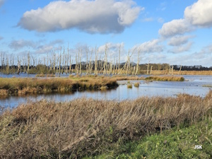 Wandeling Tusschenwater Zuidlaren
