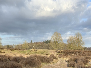 Wandelen in het Reestdal