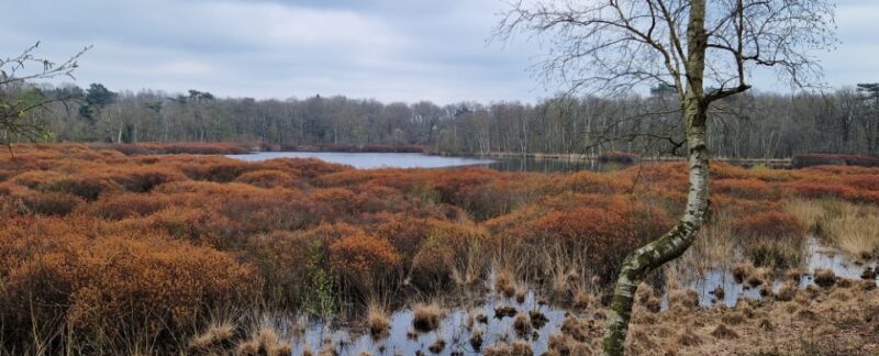 Wandelroute Zeegse