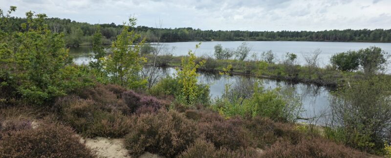 Wandelroute Reindersmeer