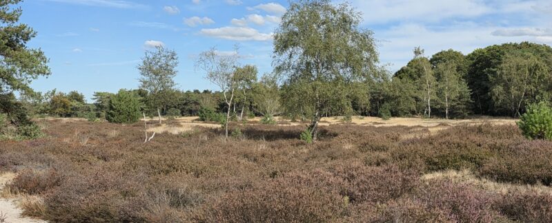 Ullingese bergen wandelroute