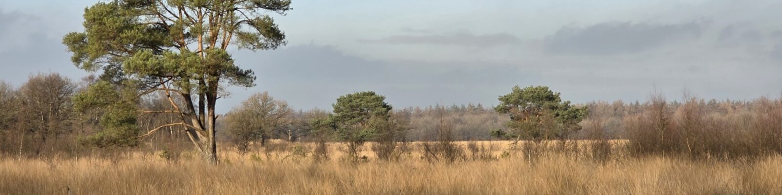 wandelroutes